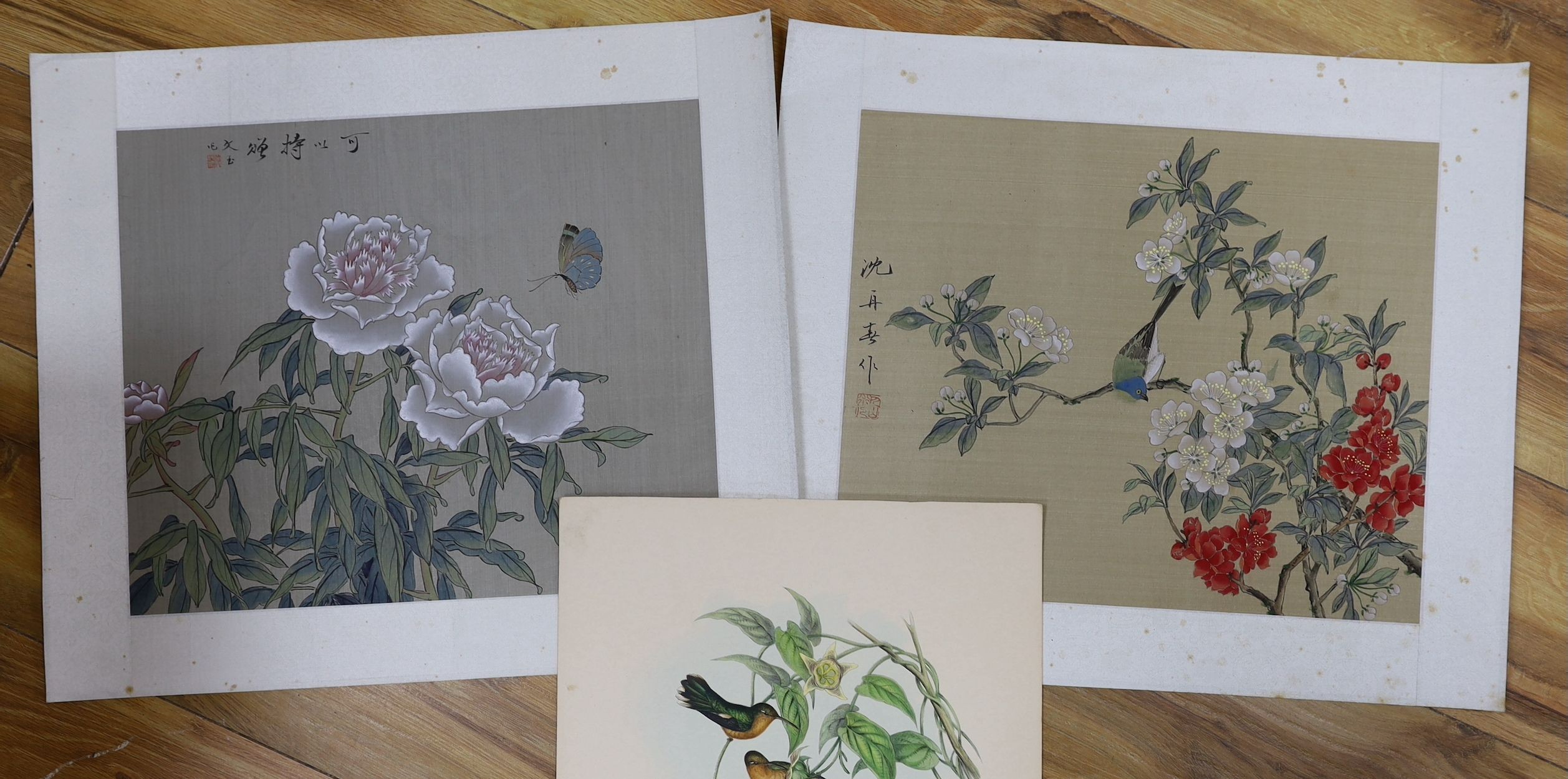 Seven unframed ornithological prints after Gould and Richter, 38 x 30cm and two Chinese watercolours on silk, 30 x 36cm, all unframed